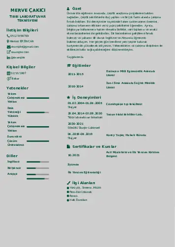 Laboratuvar Teknisyeni Cv Örnekleri cv indir